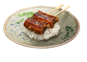 Унаги абури дон/ Unagi aburi don