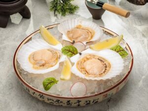Гребешок/ Scallop